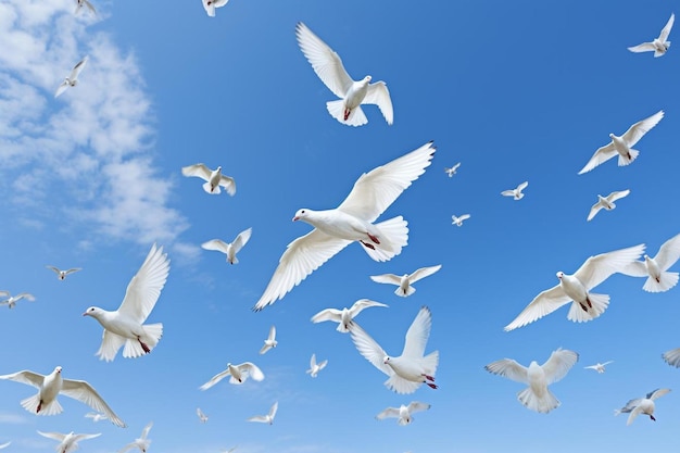 Photo un troupeau blanc d'oiseaux volant