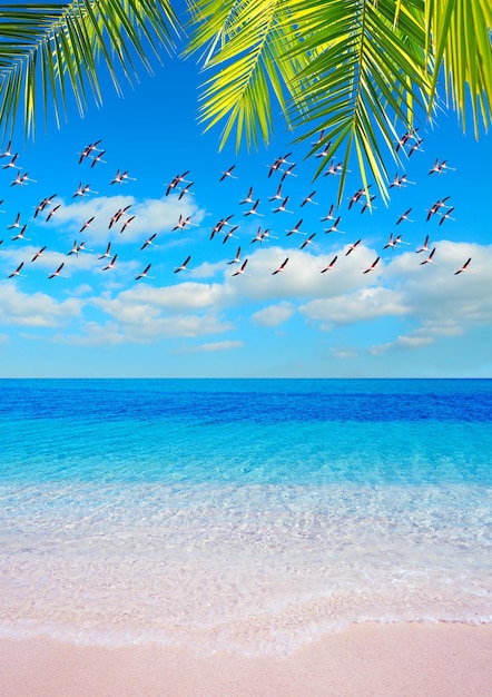 Troupeau de flamants roses survolant une plage rose