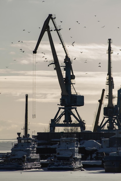 Troupeau d'oiseaux dans le port maritime au jour ensoleillé devant des grues, silhouette, vertical, téléobjectif