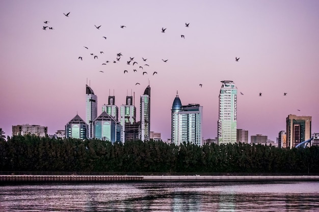 Un troupeau d'oiseaux volant au-dessus des bâtiments modernes de la ville au coucher du soleil