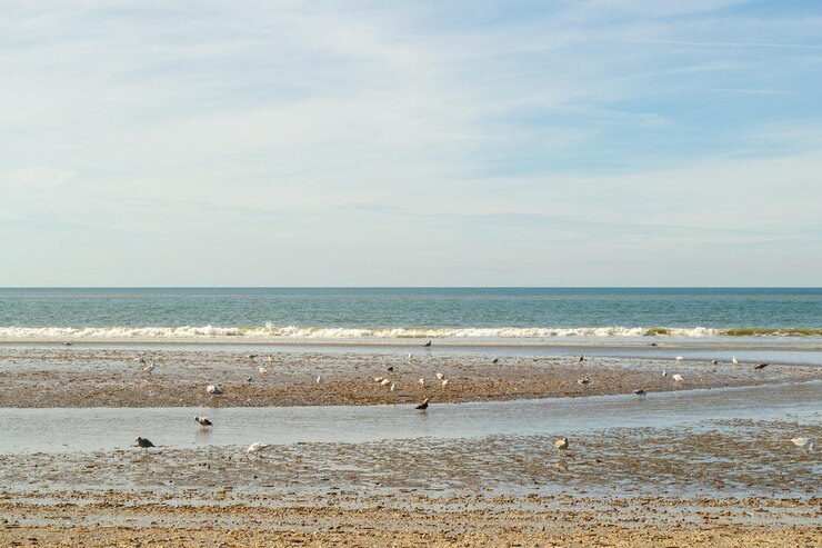 Photo trouville sur mer