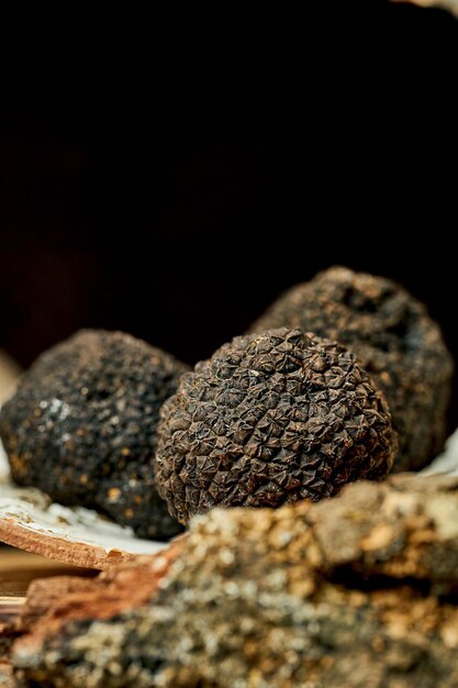 Une truffe noire entière sur écorce. Mise au point sélective, gros plan. Grain de bruit en post-production