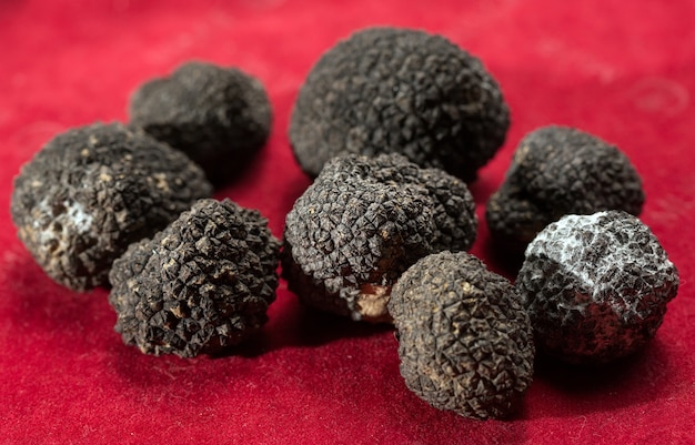 Truffes noires sur fond rouge.