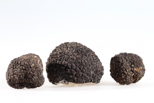 Truffes noires isolées sur blanc.