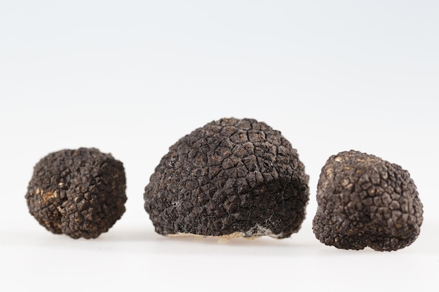 Truffes noires isolées sur fond blanc.