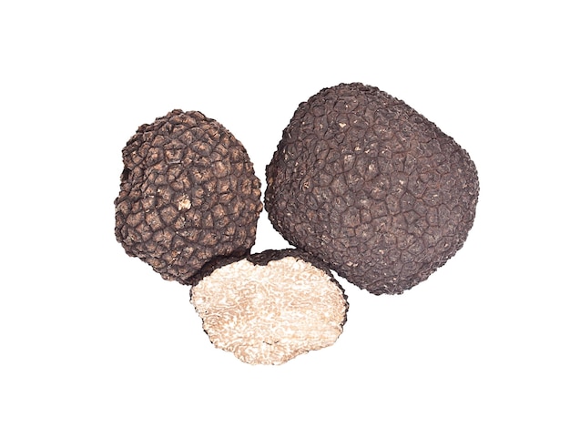 Photo truffes noires