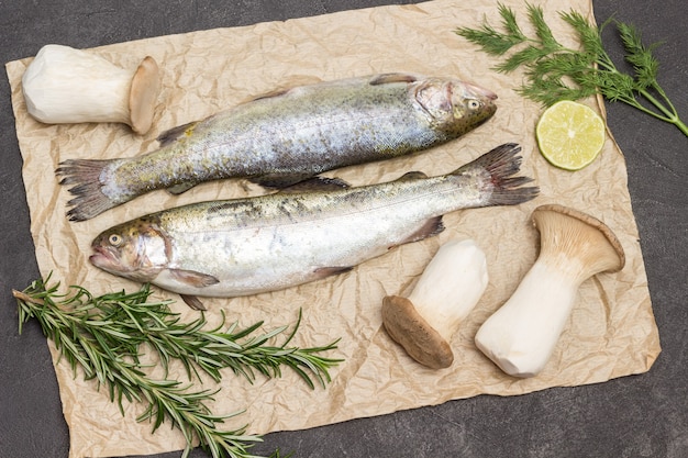 Truite de poisson cru aux champignons sur papier. Brins de romarin et d'aneth. Mise à plat