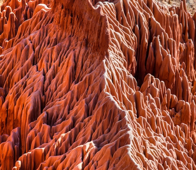 Tsingy rouge. Paysage typique. Madagascar.