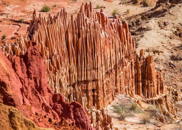 Tsingy rouge. Paysage typique. Madagascar.