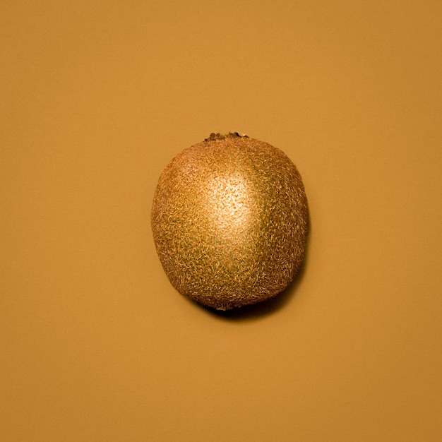 Tu dois me kiwing Photo d'un kiwi sur un fond de studio vide