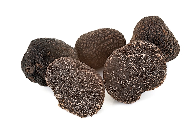 Tuber melanosporum