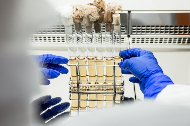 Tubes à essai médicaux de laboratoire avec une solution chimique brune