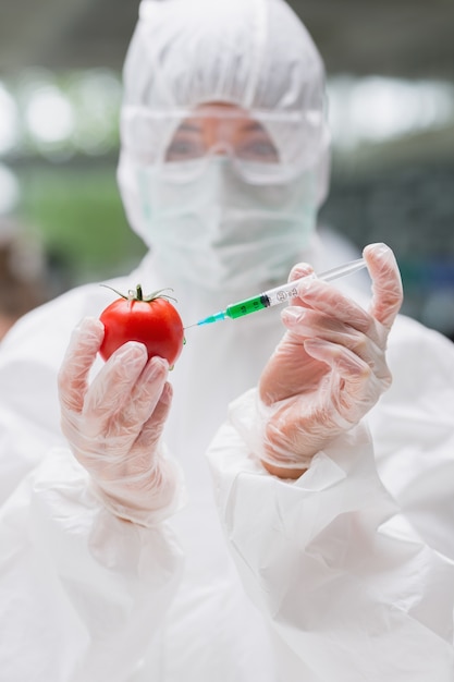 Étudiant debout au laboratoire en train d&#39;injecter une tomate