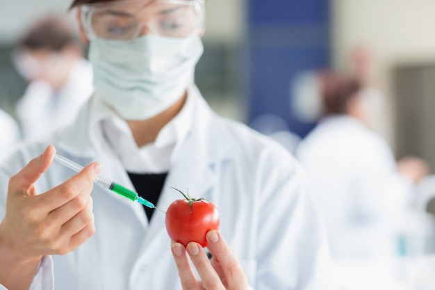 Étudiant en train d&#39;injecter des tomates dans le laboratoire