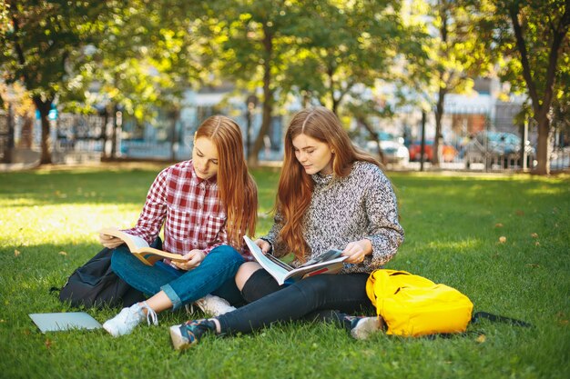 Étudiants qui étudient à l'extérieur sur le campus de l'université