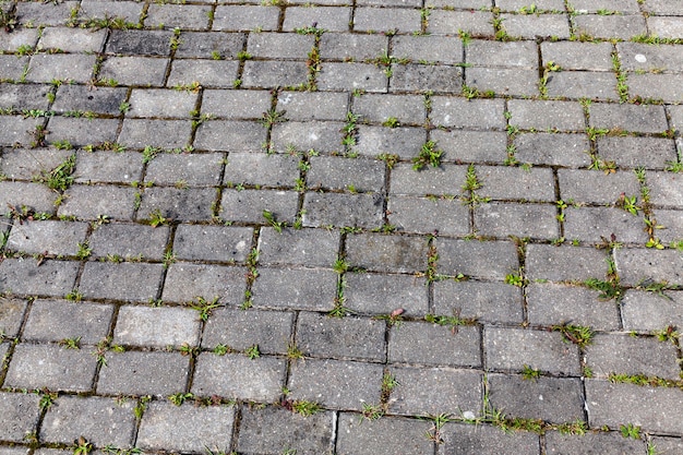 Tuiles de béton sur la route avec de l'herbe