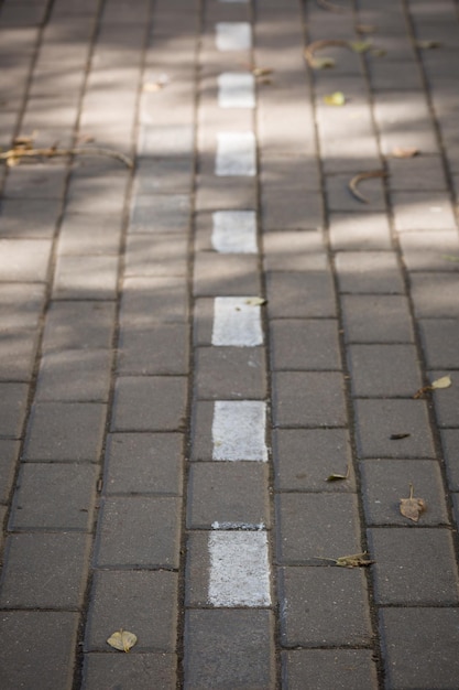 Tuiles de rue sur les ombres du soleil