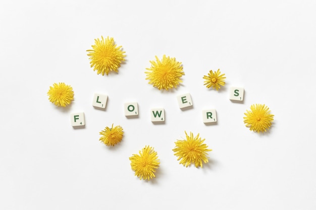 Tuiles de Scrabble avec des fleurs de pissenlit sur fond blanc