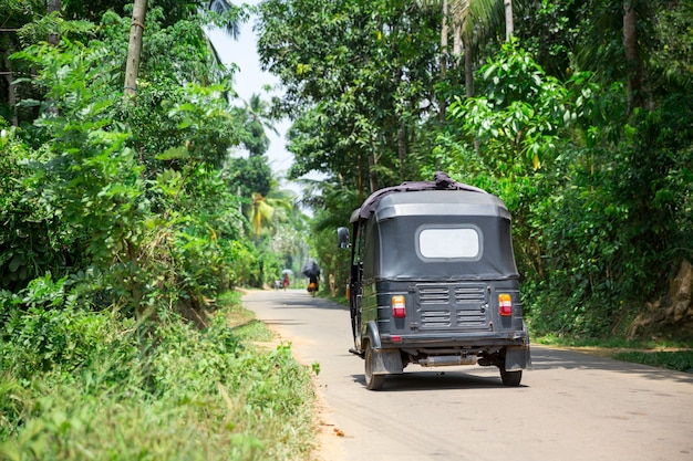 Tuk Tuk Sur La Route Du Sri Lanka, Vue Arrière. Forêt Tropicale De Ceylan Et Transport Touristique Traditionnel