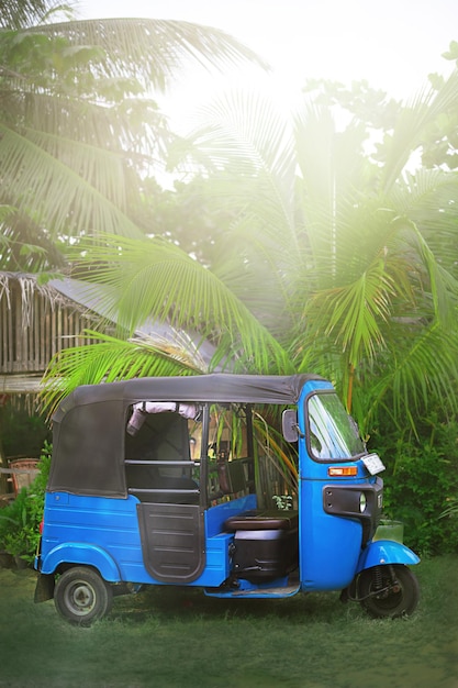 Photo le tuktuk bleu sous les palmiers sur la route de la campagne