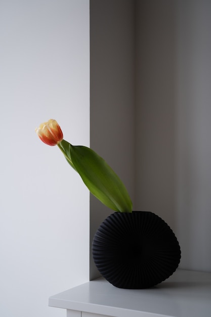 Une tulipe dans un vase noir sur une étagère blanche dans la chambre. Concept minimal de maison confortable. Style Japandi. Simple