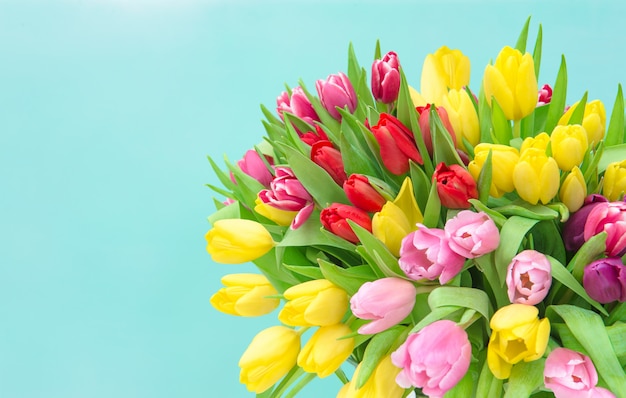 Tulipe fleurs bouquet printemps fleurs couleurs pastel