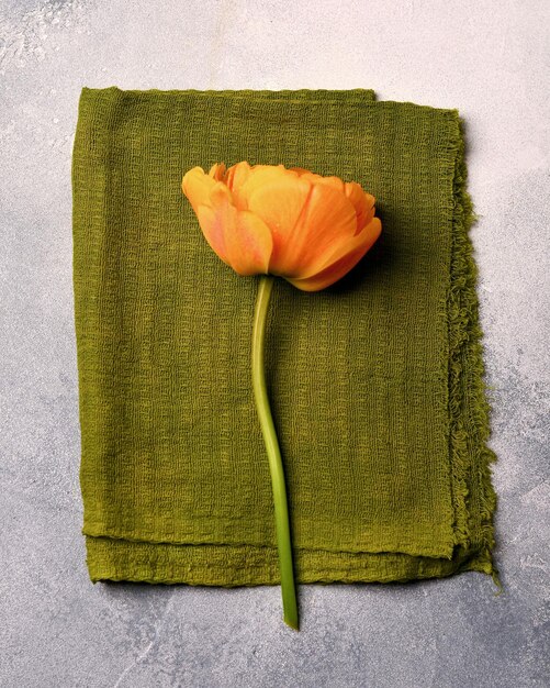 Photo une tulipe orange est posée sur un tissu vert sur une table grise une combinaison de couleurs coloristiques