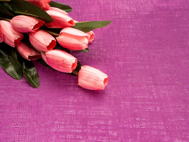 Tulipe pourpre et coffret cadeau sur fond violet