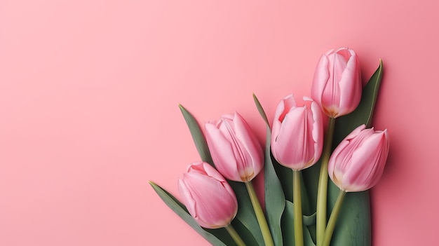 La tulipe de printemps fait sur l'établissement rose le mieux voir au niveau organiser l'IA générée