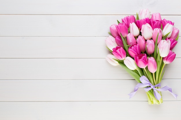 Tulipe rose sur fond blanc fond de Pâques