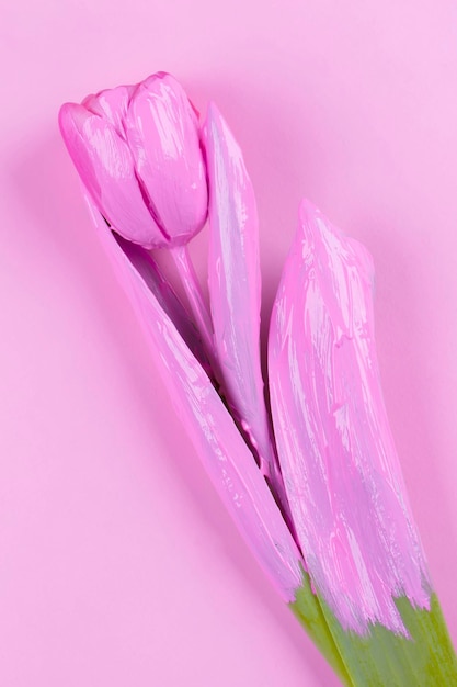 Tulipe rose sur fond rose Fleur minimaliste