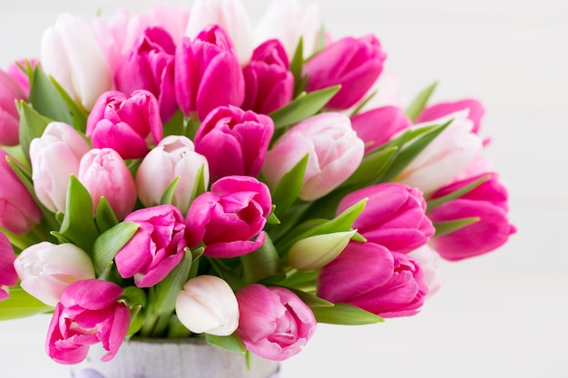 Tulipe rose sur la surface blanche.