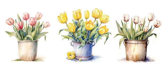 des tulipes à l'aquarelle en pot