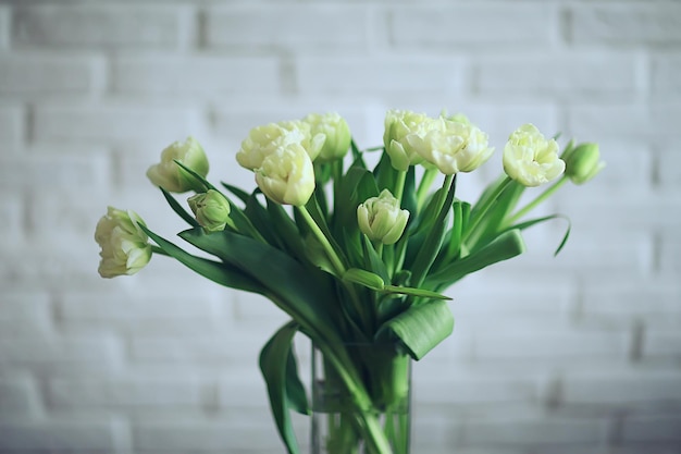 tulipes blanches bouquet de printemps, arrière-plan fleurs fraîches félicitations romantiques mars avril, arrière-plan saisonnier