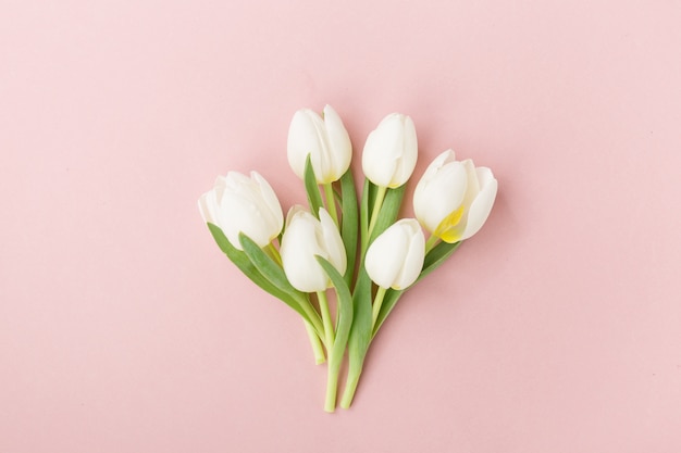 Tulipes blanches sur fond rose