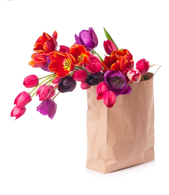 Tulipes colorées dans un sac en papier sur fond blanc.