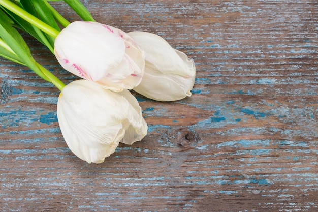 Tulipes colorées sur fond en bois. Vue de dessus avec un espace pour votre texte.