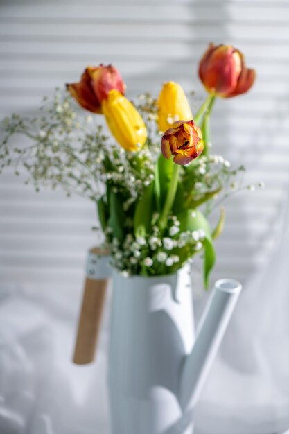 Photo tulipes dans un arrosoir blanc près de la fenêtre sur fond blanc