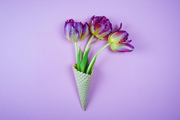 Tulipes dans un cornet gaufré de crème glacée sur fond lilas doux