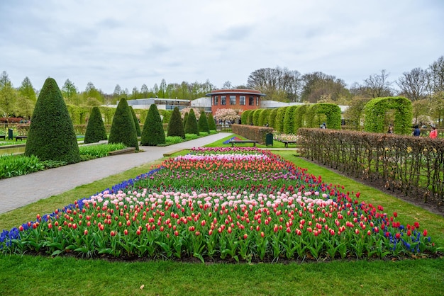 Tulipes en fleurs dans le parc Keukenhof Lisse Holland Pays-Bas