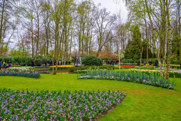 Tulipes en fleurs dans le parc Keukenhof Lisse Holland Pays-Bas