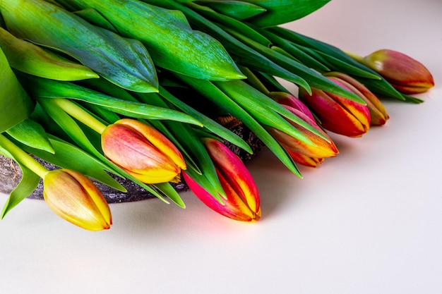 Tulipes de fleurs de printemps