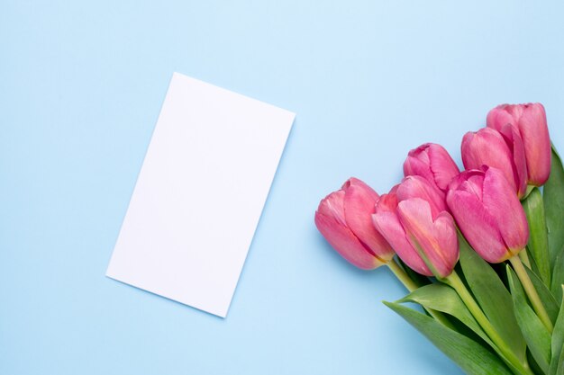 Tulipes de fleurs roses et carte présente sur une surface bleue