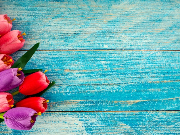 Tulipes sur fond de bois bleu