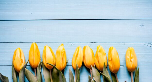 tulipes sur un fond en bois, avec copie espace pour votre texte.