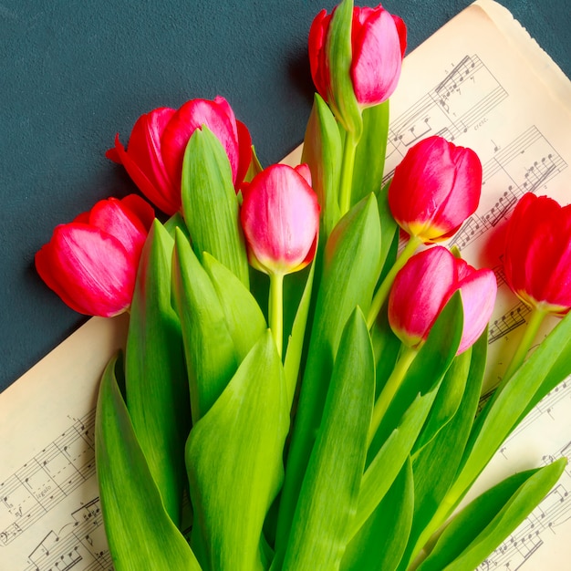 tulipes sur fond gris turquoise. Fleurs de printemps. Saint Valentin, le jour de la femme et le jour de mère.