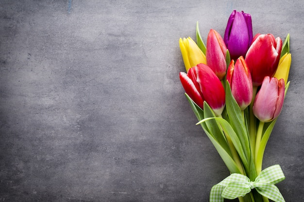 Tulipes sur fond gris