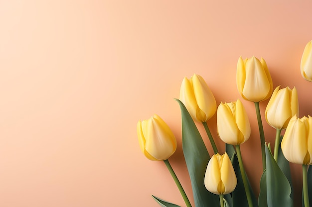 Des tulipes sur un fond jaune pastel