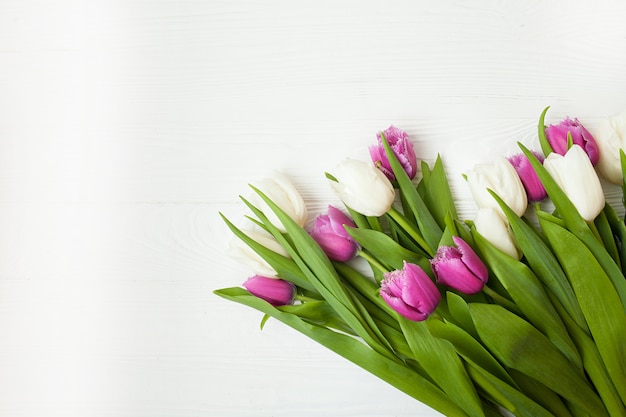 Tulipes fraîches sur un fond en bois blanc pour la fête des mères