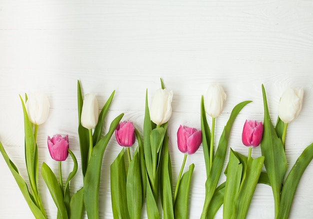 Tulipes fraîches sur un fond en bois blanc pour la fête des mères